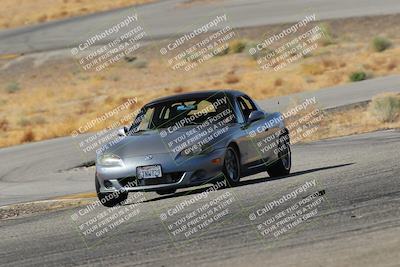 media/Feb-22-2025-Team Topak Racing (Sat) [[cb57a51a40]]/Beginner/Turns 13 and 14/